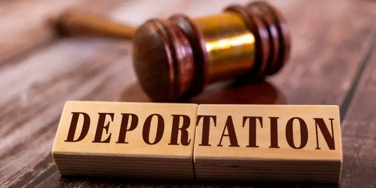 USCIS инициировала более 26 000 процедур депортации с февраля