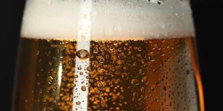 Калифорнийское пиво признано лучшим в мире на World Beer Cup 2025