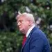 Рейтинг одобрения Трампа